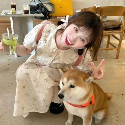 不只但总是